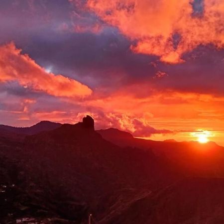 Finca Ancestros تيخيدا المظهر الخارجي الصورة